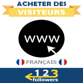 Acheter des Visiteurs Français pour son Site